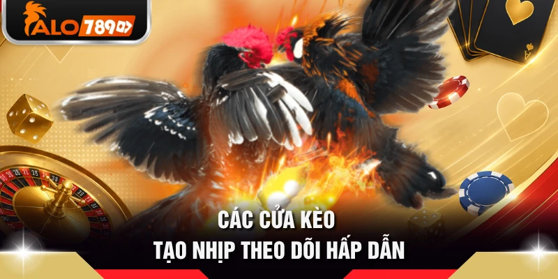 Các cửa kèo tạo nhịp theo dõi hấp dẫn